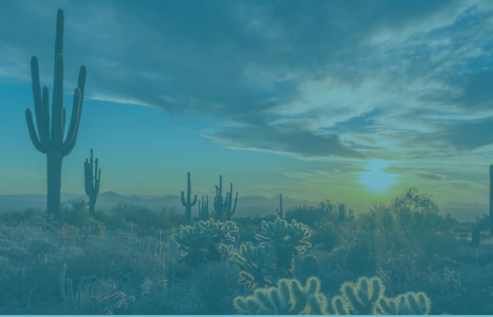 Tuscon AZ
