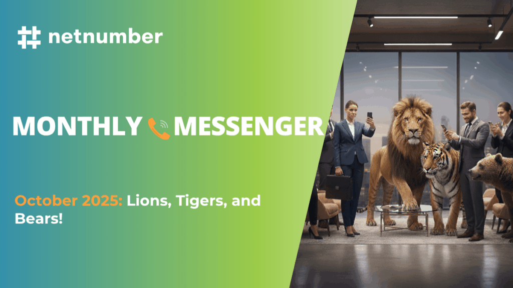Netnumber_Monthly_Messenger_October