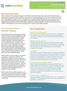 Netnumber Number Check Service