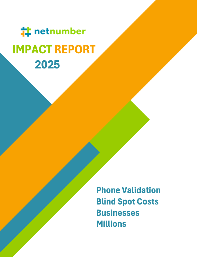 netnumber_IMPACT_REPORT