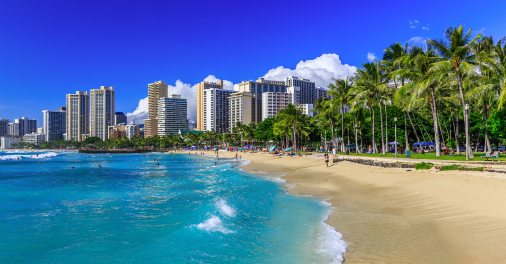 Netnumber_at_MEF_Meetup_Honolulu_2026